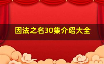 因法之名30集介绍大全