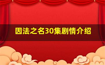 因法之名30集剧情介绍