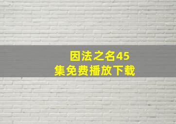 因法之名45集免费播放下载