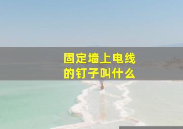 固定墙上电线的钉子叫什么