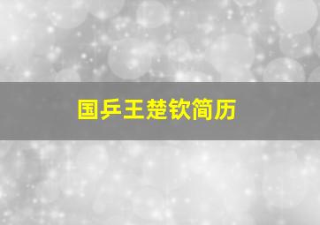 国乒王楚钦简历