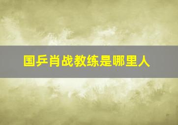 国乒肖战教练是哪里人