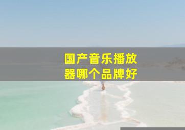 国产音乐播放器哪个品牌好