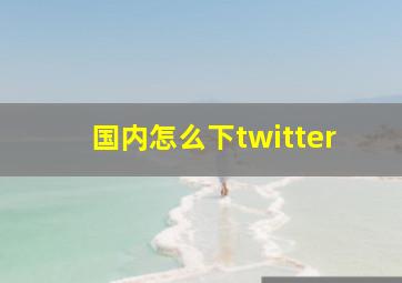 国内怎么下twitter