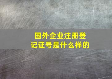 国外企业注册登记证号是什么样的