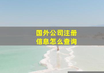 国外公司注册信息怎么查询