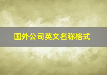 国外公司英文名称格式