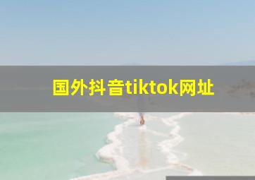 国外抖音tiktok网址