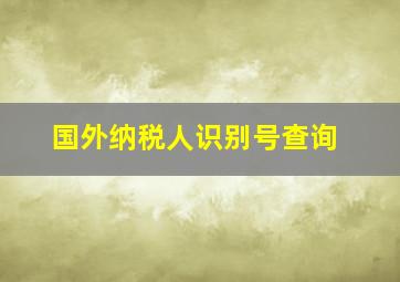 国外纳税人识别号查询