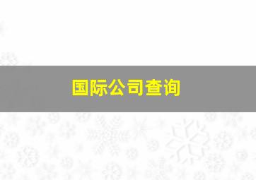 国际公司查询