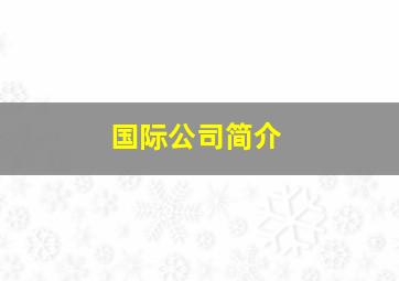 国际公司简介