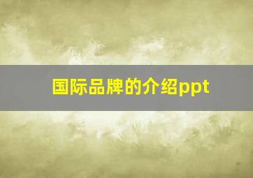 国际品牌的介绍ppt