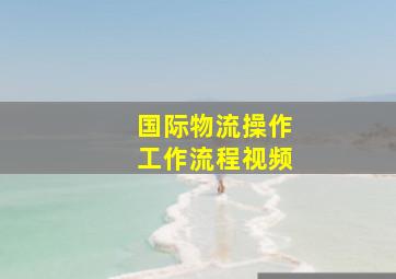 国际物流操作工作流程视频