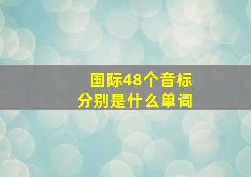 国际48个音标分别是什么单词