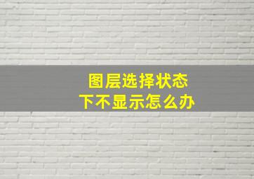 图层选择状态下不显示怎么办