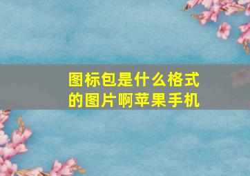 图标包是什么格式的图片啊苹果手机