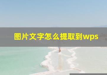 图片文字怎么提取到wps