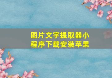 图片文字提取器小程序下载安装苹果