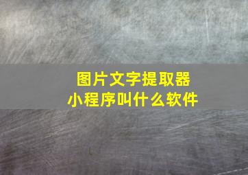 图片文字提取器小程序叫什么软件