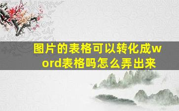 图片的表格可以转化成word表格吗怎么弄出来