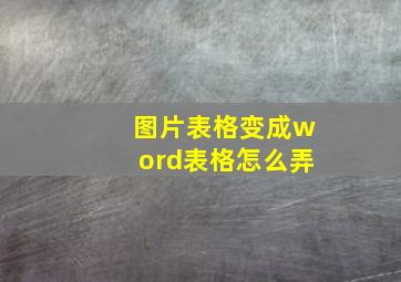 图片表格变成word表格怎么弄