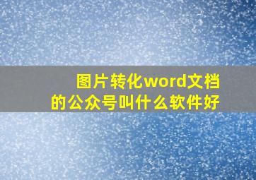 图片转化word文档的公众号叫什么软件好