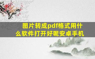 图片转成pdf格式用什么软件打开好呢安卓手机