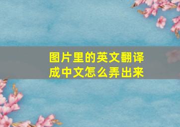 图片里的英文翻译成中文怎么弄出来