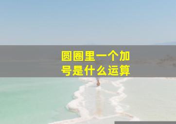 圆圈里一个加号是什么运算