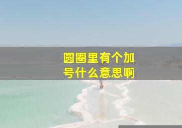 圆圈里有个加号什么意思啊