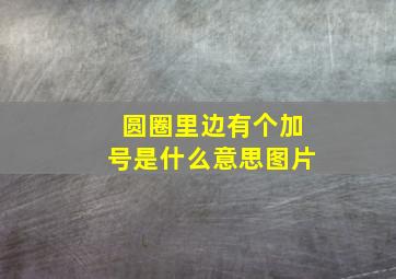 圆圈里边有个加号是什么意思图片