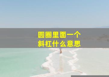 圆圈里面一个斜杠什么意思