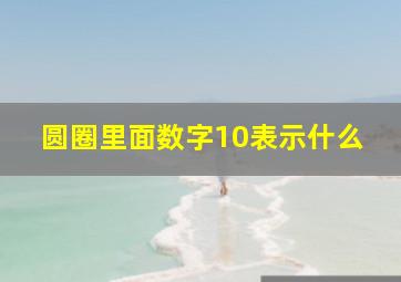 圆圈里面数字10表示什么