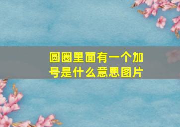 圆圈里面有一个加号是什么意思图片