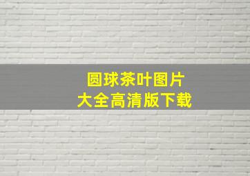 圆球茶叶图片大全高清版下载