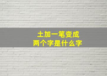 土加一笔变成两个字是什么字