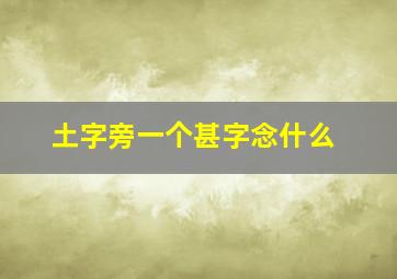 土字旁一个甚字念什么