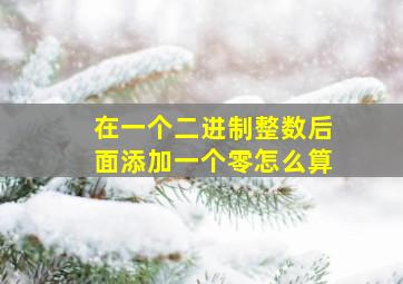 在一个二进制整数后面添加一个零怎么算