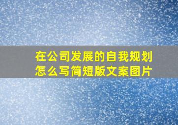 在公司发展的自我规划怎么写简短版文案图片