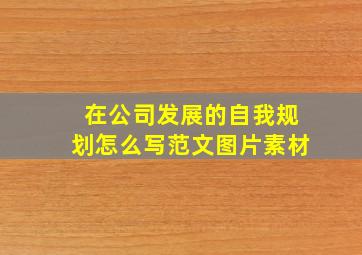 在公司发展的自我规划怎么写范文图片素材