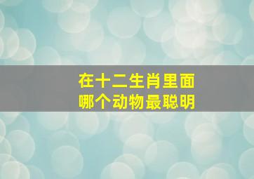 在十二生肖里面哪个动物最聪明