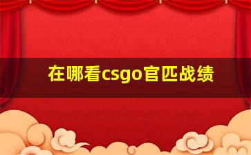 在哪看csgo官匹战绩