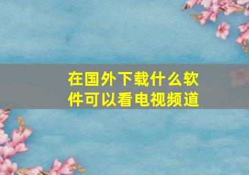 在国外下载什么软件可以看电视频道