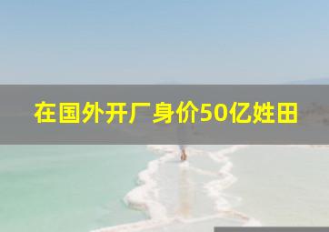 在国外开厂身价50亿姓田