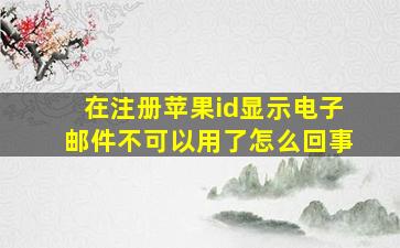 在注册苹果id显示电子邮件不可以用了怎么回事