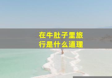 在牛肚子里旅行是什么道理