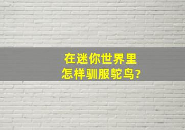 在迷你世界里怎样驯服鸵鸟?