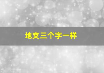 地支三个字一样