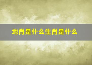 地肖是什么生肖是什么