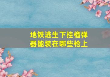 地铁逃生下挂榴弹器能装在哪些枪上